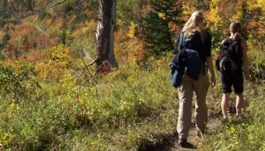 GeoEd: Citizen Geoscience