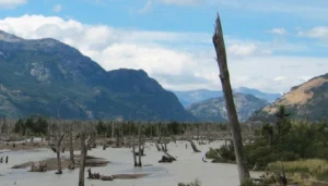 Imaggeo on Mondays: A Patagonia landscape dominated by volcanoes