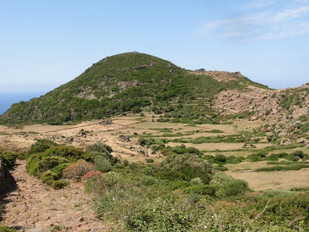 GeoTalk: How hydrothermal gases change soil biology