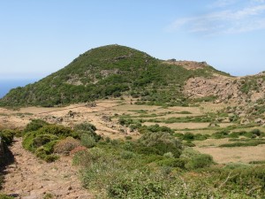 GeoTalk: How hydrothermal gases change soil biology