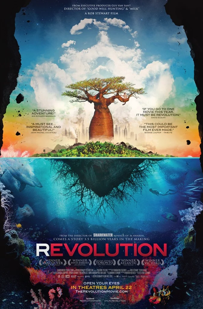 Film review: Revolution
