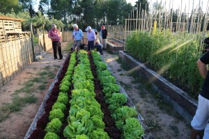Imaggeo on Mondays: The soil in your veg patch