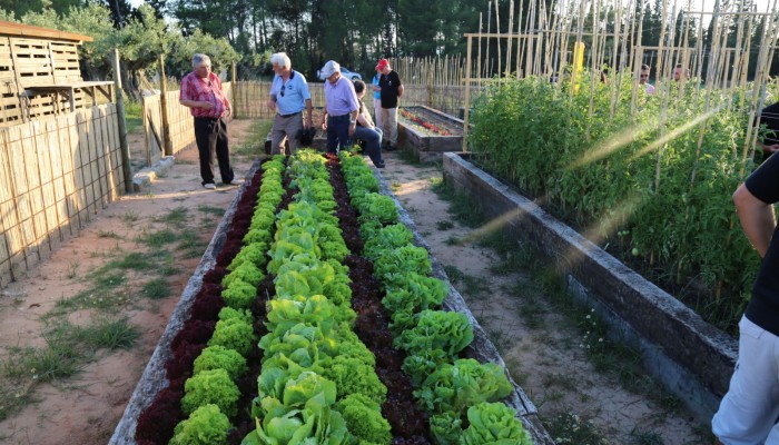 Imaggeo on Mondays: The soil in your veg patch