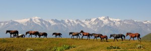 Imaggeo on Mondays: The retreating glaciers of the Svaneti Range, Georgia