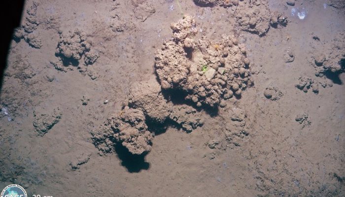 Methane seeps – oases in the deep Arctic Ocean