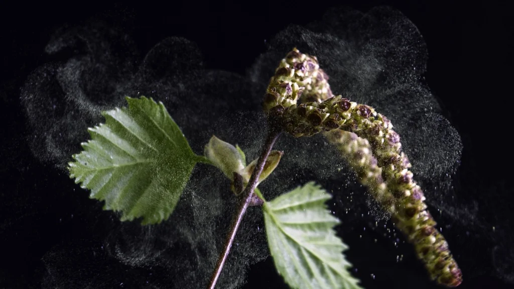 Geosciences Column: Pollen tells a 7300 year old story of Malta’s climate and vegetation