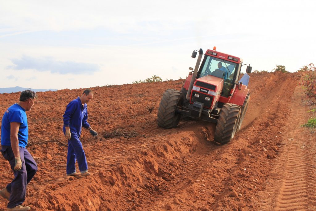 Geosciences Column: The World’s soils are under threat