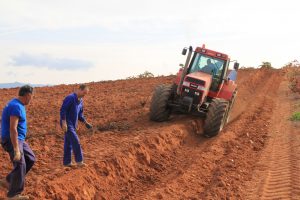 Geosciences Column: The World’s soils are under threat
