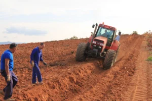 Geosciences Column: The World’s soils are under threat