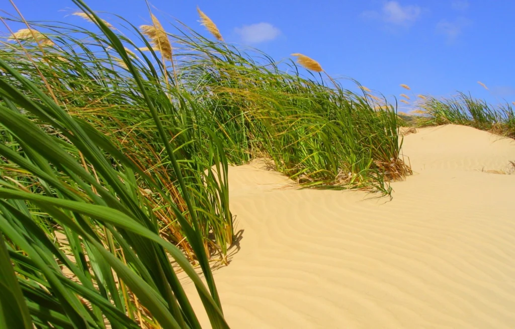 Imaggeo on Mondays: Coastal erosion