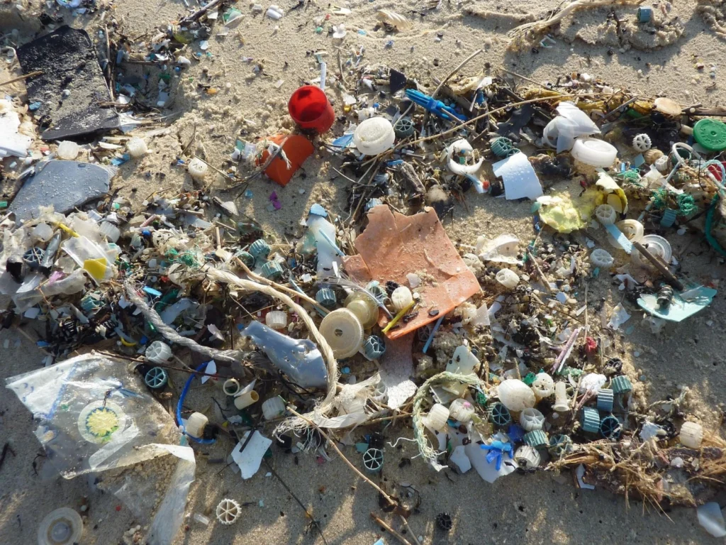 GeoTalk: Investigating the transport of plastic pollution in the oceans