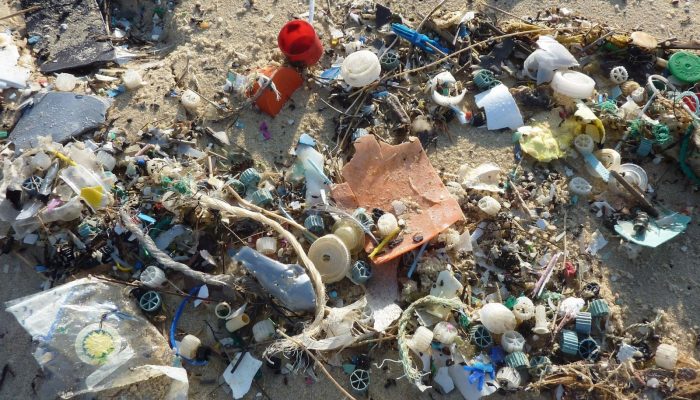 GeoTalk: Investigating the transport of plastic pollution in the oceans