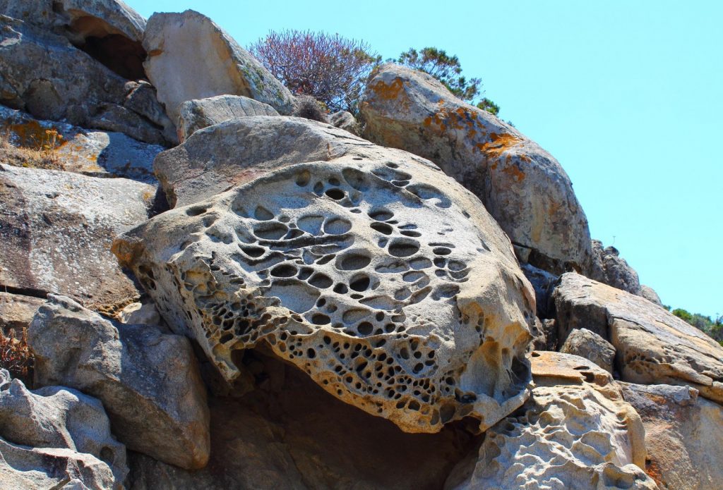 Imaggeo on Mondays: the rocks that look like Swiss cheese
