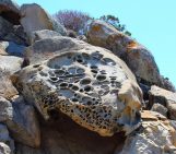 Imaggeo on Mondays: the rocks that look like Swiss cheese