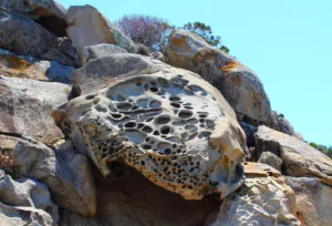 Imaggeo on Mondays: the rocks that look like Swiss cheese