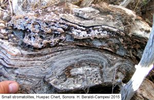 Imaggeo on Mondays: The odd ‘living’ rocks
