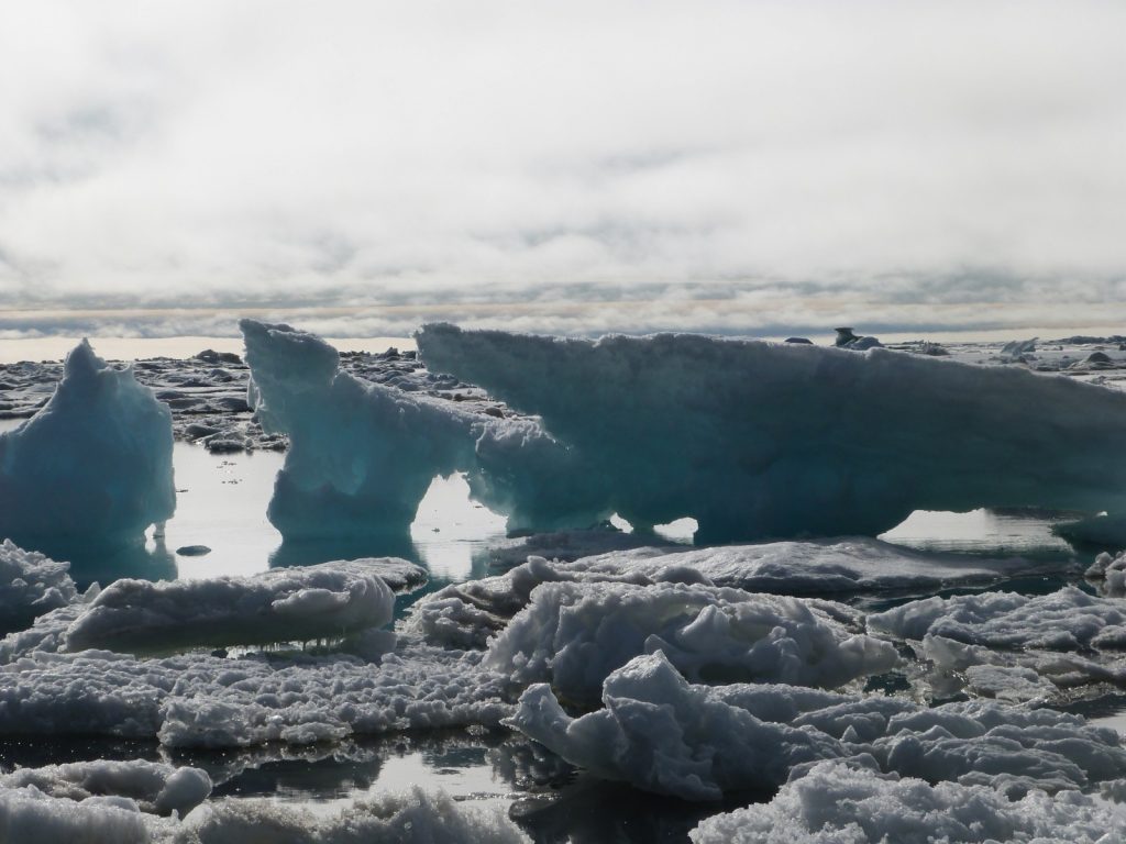 Sea ice breaking on the Chukchi Sea, Barrow, July 2014