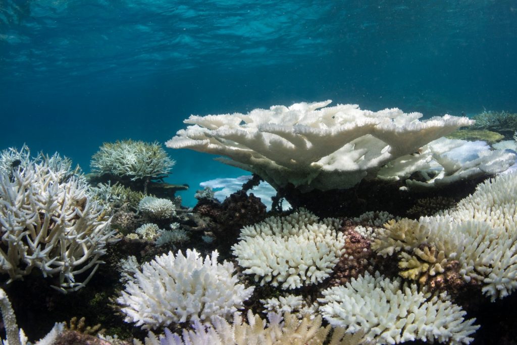 March GeoRoundUp: the best of the Earth sciences from around the web
