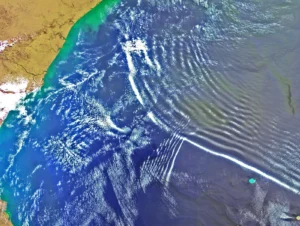 What if a tsunami’s magnetic field could predict the height of the wave?