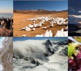 Photo Contest finalists 2017 – who will you vote for?