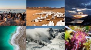 Photo Contest finalists 2017 – who will you vote for?