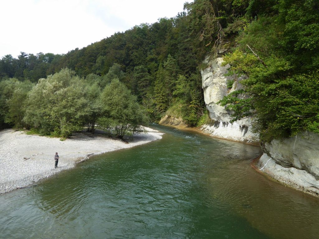 Artificial floods: Restoring the ecological integrity of rivers