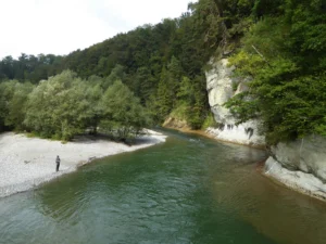 Artificial floods: Restoring the ecological integrity of rivers