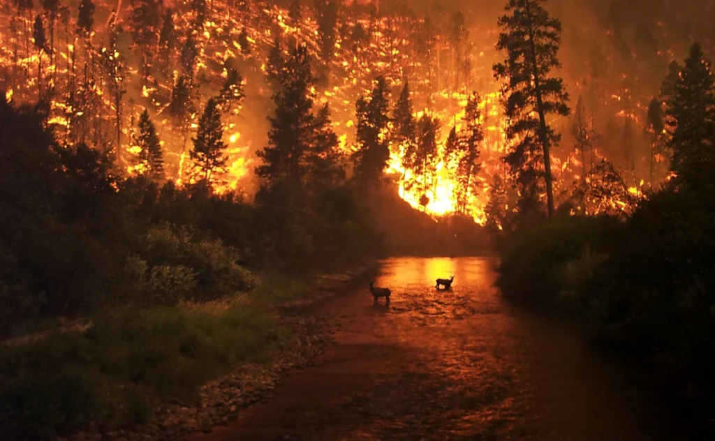 GeoSciences Column: Is smoke on your mind? Using social media to assess smoke exposure from wildfires