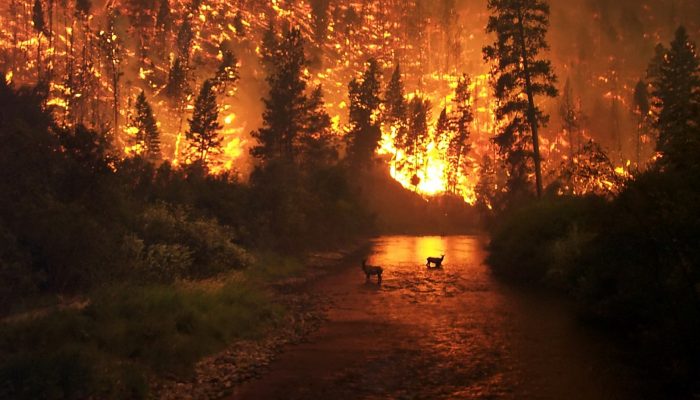 GeoSciences Column: Is smoke on your mind? Using social media to assess smoke exposure from wildfires