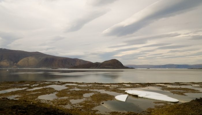 Imaggeo on Mondays: Low tide at Alexandra Fjord