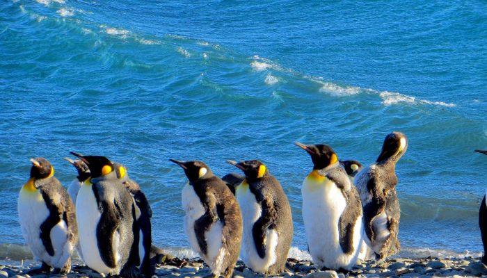 Imaggeo on Mondays: Measuring the wind direction