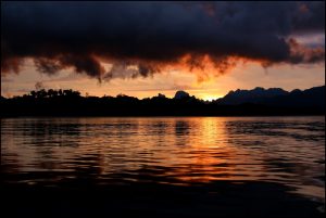 Imaggeo on Mondays: One of the oldest evergreen rainforests in the world