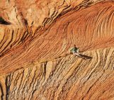 Imaggeo on Mondays: Of ancient winds and sands