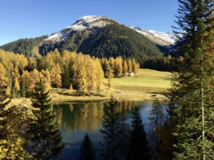 Imaggeo on Mondays: Autumnal Larch