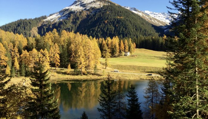 Imaggeo on Mondays: Autumnal Larch