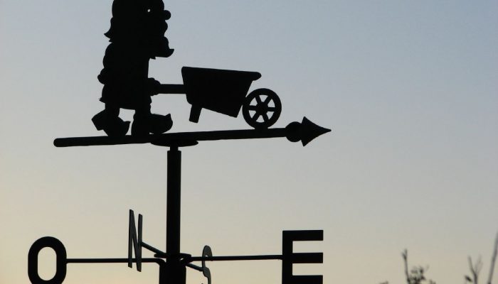 Geopolicy: How does scientific uncertainty translate into policy?