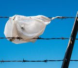 Geopolicy: Combating plastic pollution – research, engagement and the EU Plastic Strategy