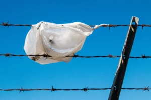 Geopolicy: Combating plastic pollution – research, engagement and the EU Plastic Strategy
