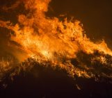 Wildfires in the wake of climate change