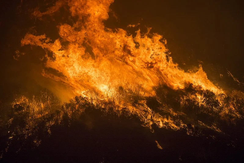 Wildfires in the wake of climate change