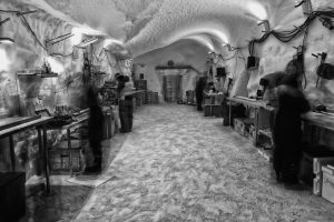 Imaggeo on Mondays: Science in the Arctic trenches