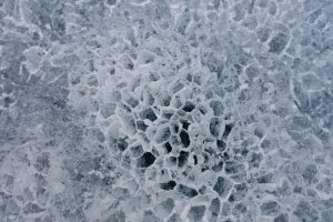 Imaggeo on Mondays: Antarctic winds make honeycomb ice