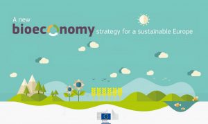 GeoPolicy: the EU’s Bioeconomy Strategy – what is it and how is it linked with geoscience?