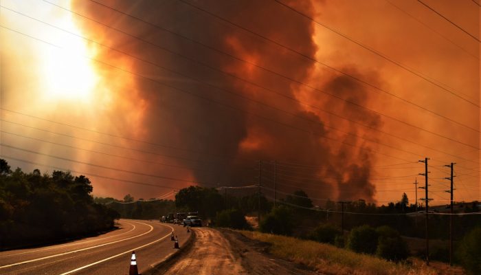 A better framework for disasters