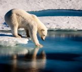 May GeoRoundUp: the best of the Earth sciences from around the web