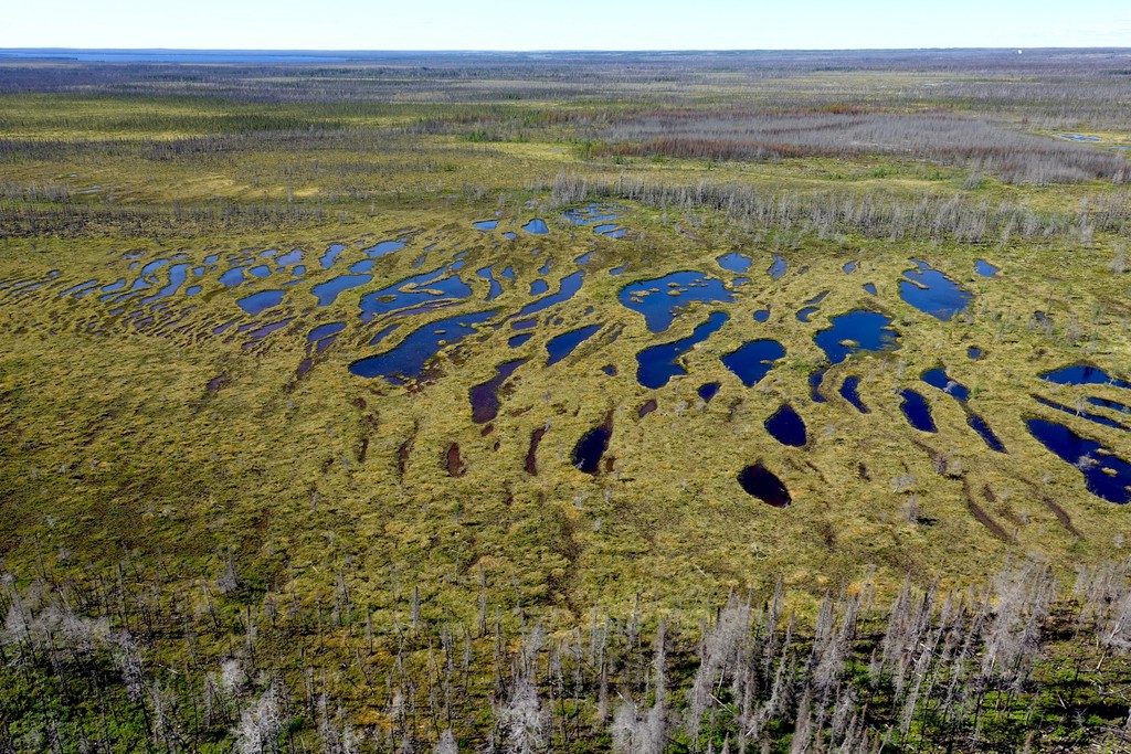 Imaggeo on Mondays: Patterns in the peatland