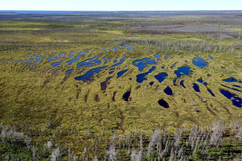 Imaggeo on Mondays: Patterns in the peatland