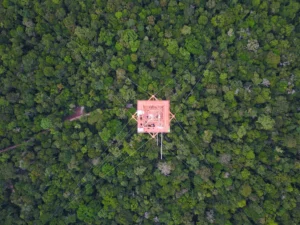 Imaggeo on Mondays: Science above the Amazon rainforest