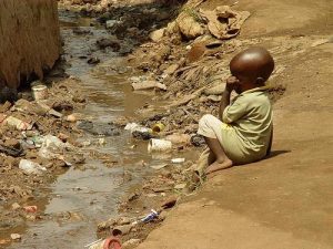 Groundwater springs harbour hidden viruses