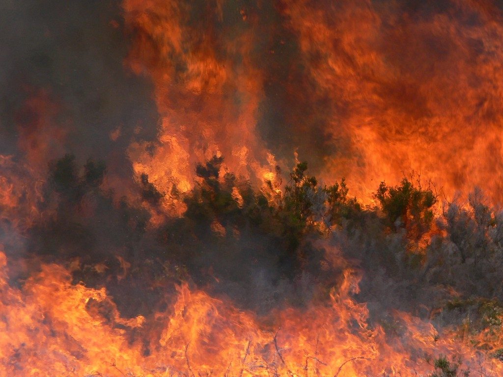 Imaggeo on Mondays: A painted forest fire